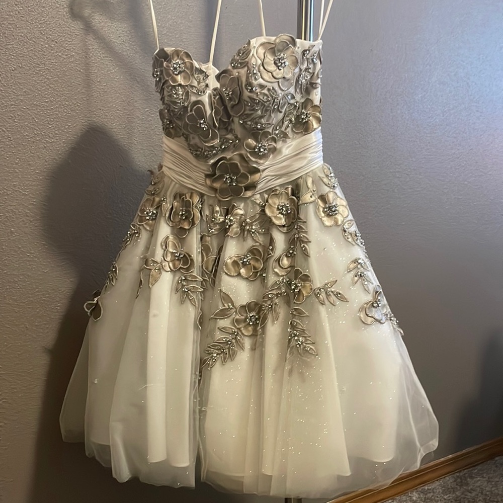TERANI Coutoure Prom dress